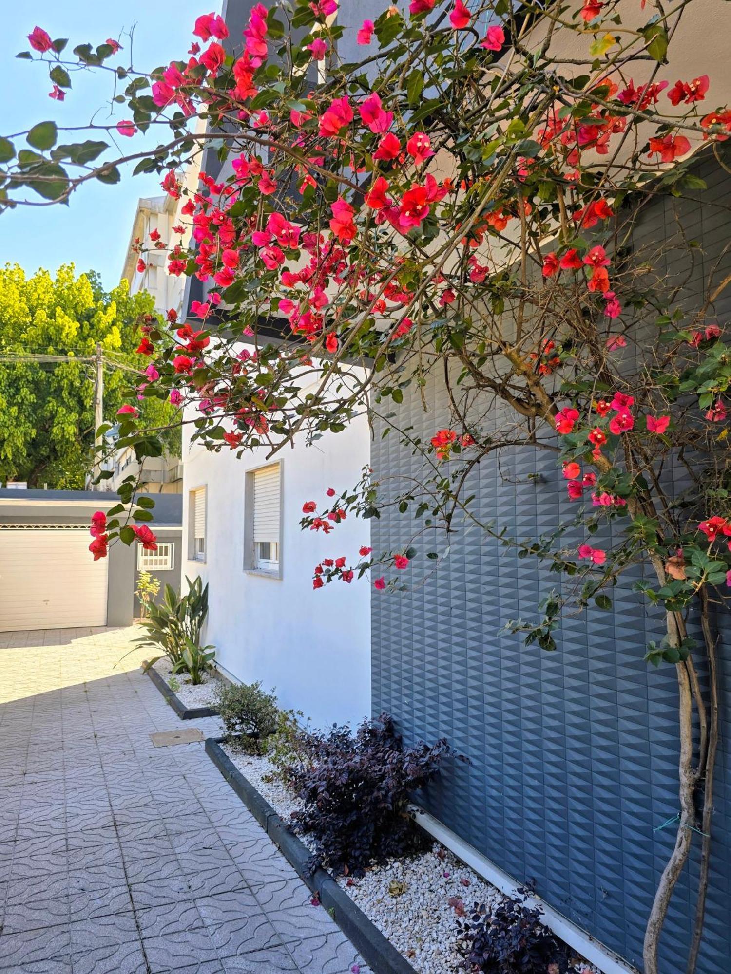 Villa Casa Da Ana Braga Exterior foto